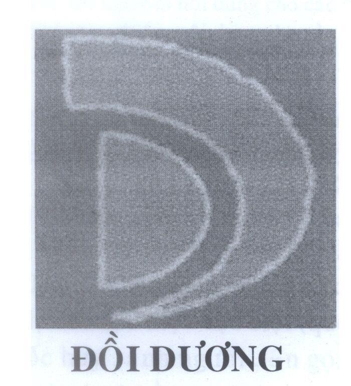 Mẫu nhãn hiệu D Đồi Dương