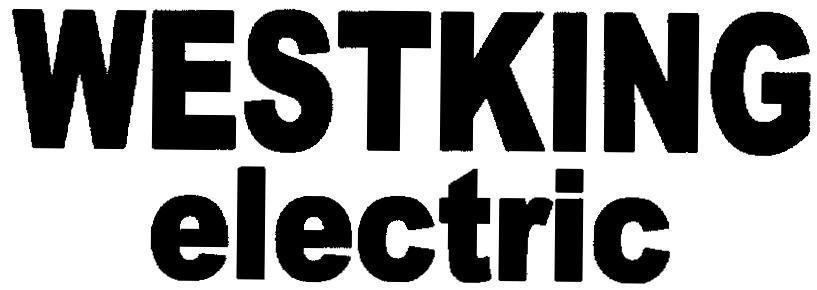 Mẫu nhãn hiệu WESTKING electric
