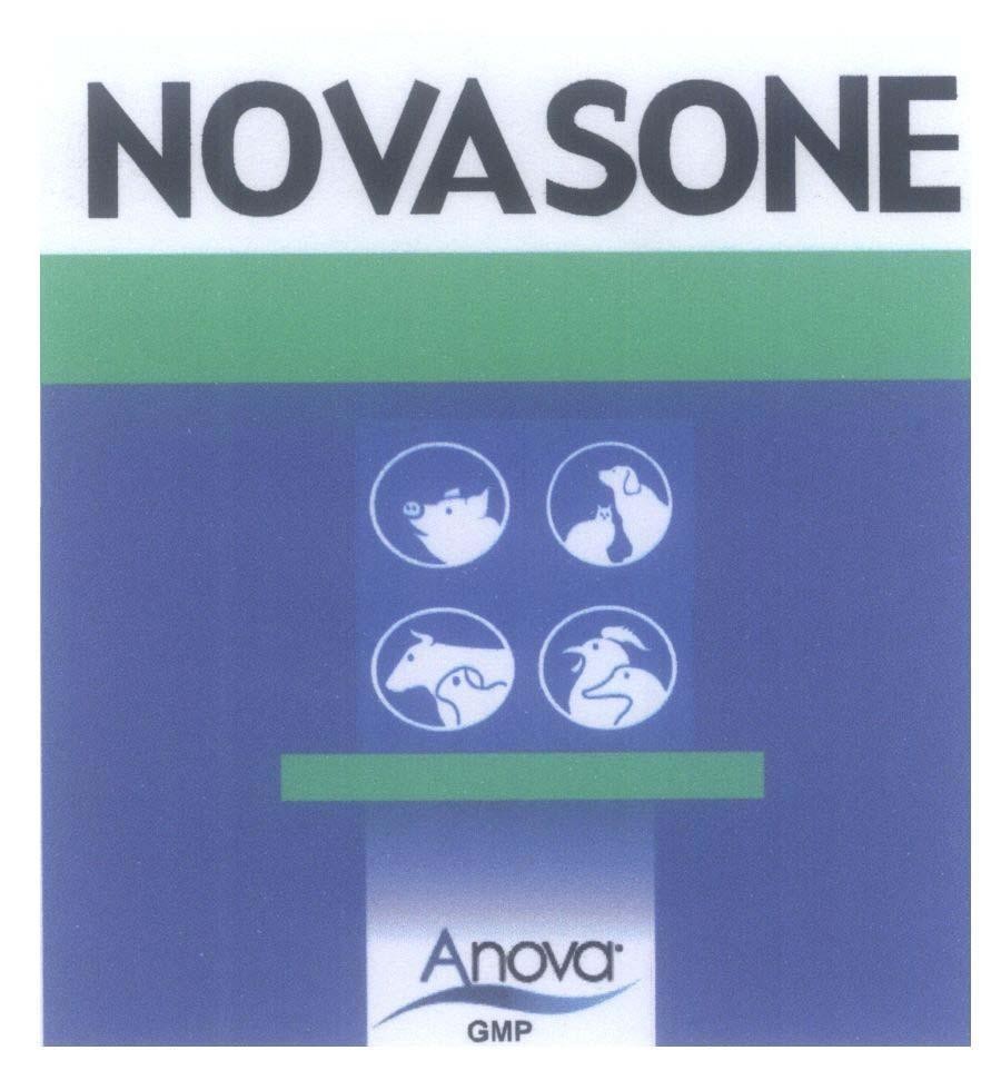 Mẫu nhãn hiệu NOVASONE Anova GMP