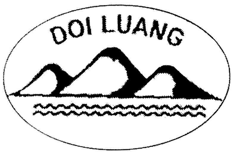 Mẫu nhãn hiệu DOI LUANG