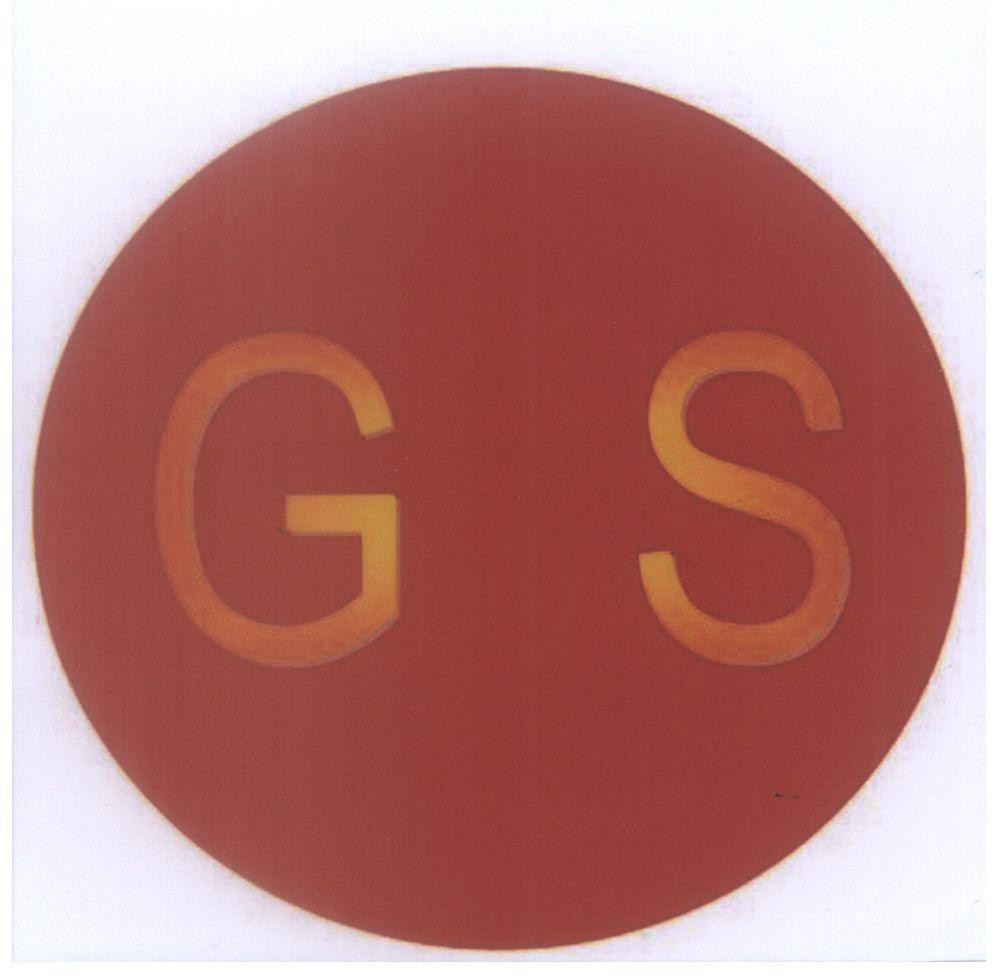 Mẫu nhãn hiệu GS G S
