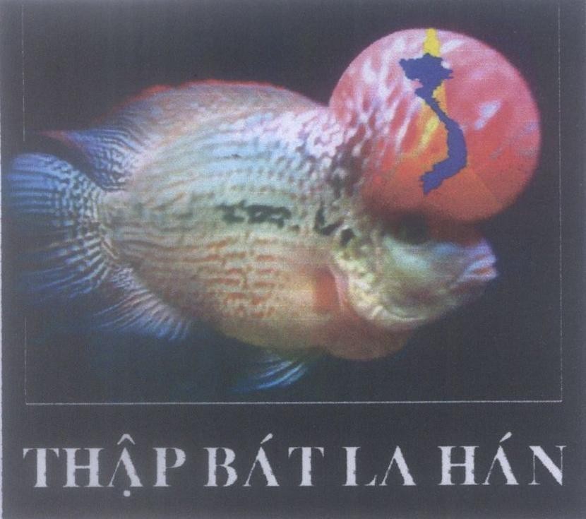 Mẫu nhãn hiệu Thập Bát La Hán