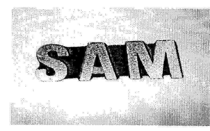 Mẫu nhãn hiệu SAM