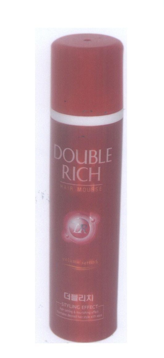 Mẫu nhãn hiệu Double Rich DR [Double Rich]