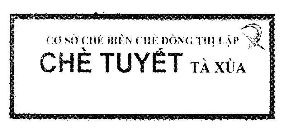 Mẫu nhãn hiệu Cơ Sở Chế Biến Chè Đồng Thị Lập Chè Tuyết Tà Xùa