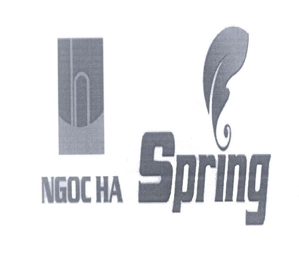 Mẫu nhãn hiệu h n NGOC HA Spring