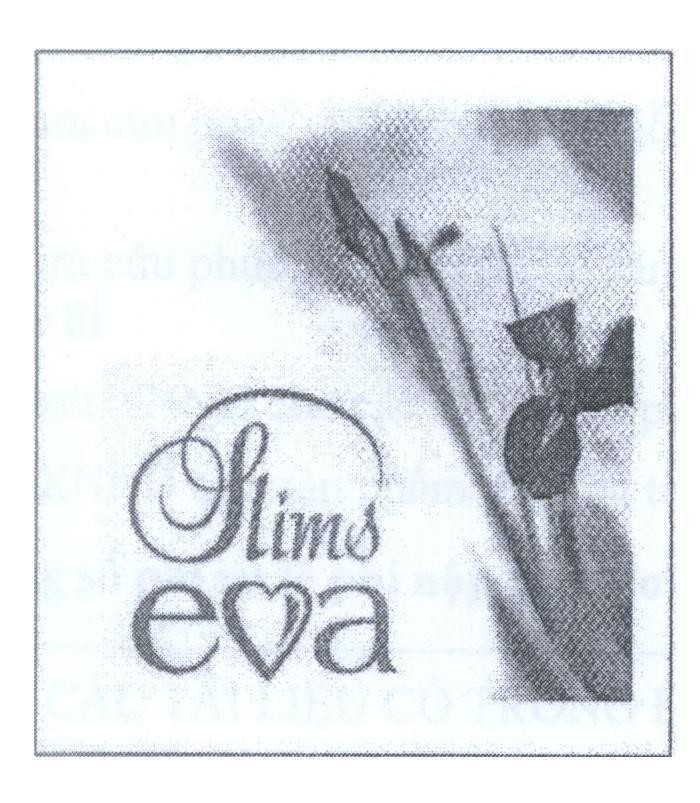 Mẫu nhãn hiệu Slims E A