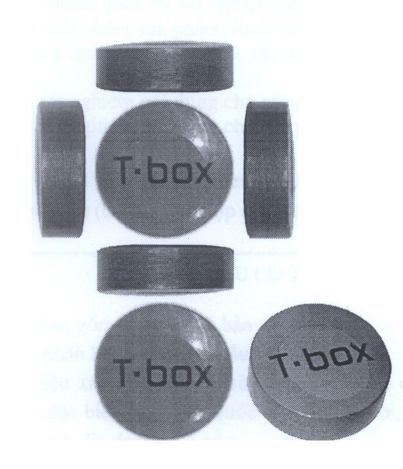 Mẫu nhãn hiệu T-box