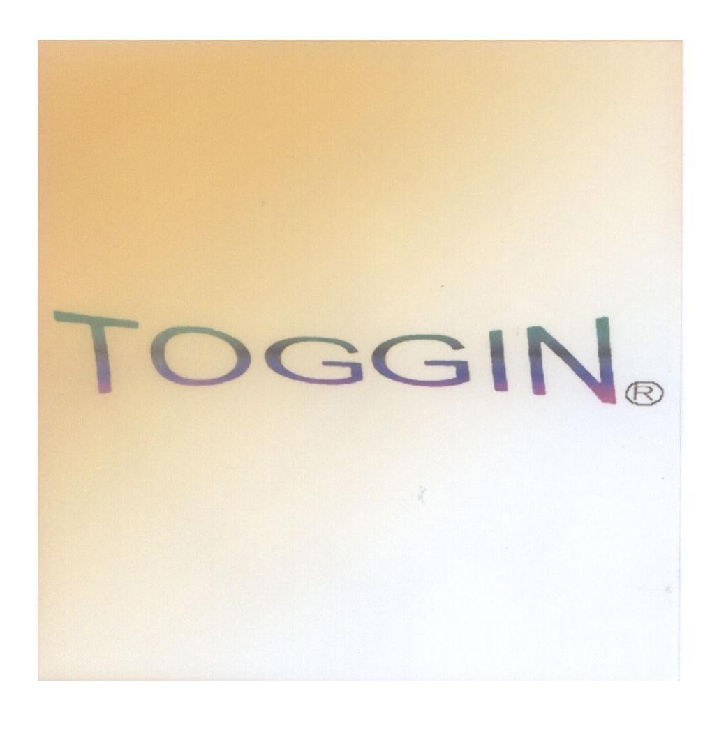 Mẫu nhãn hiệu TOGGIN