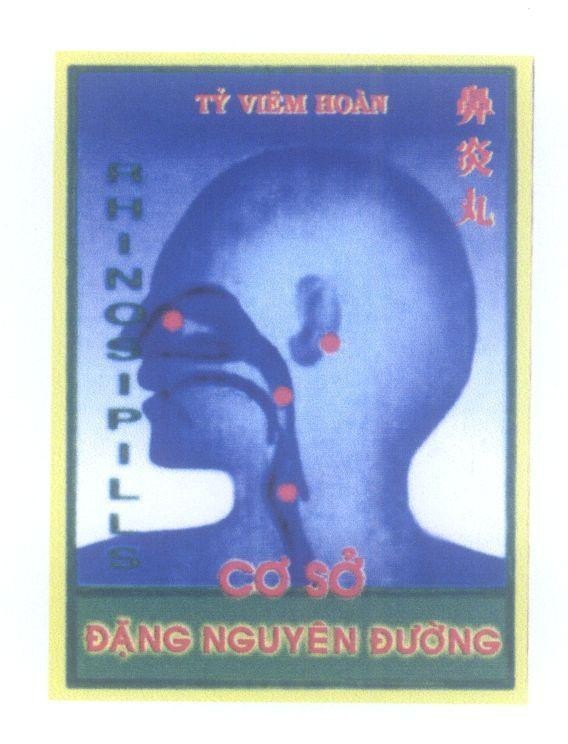 Mẫu nhãn hiệu Tỷ Viêm Hoàn [Bi Yan Wan: Tỷ viêm hoàn] RHINOSIPILLS Cơ sở Đặng Nguyện Đường
