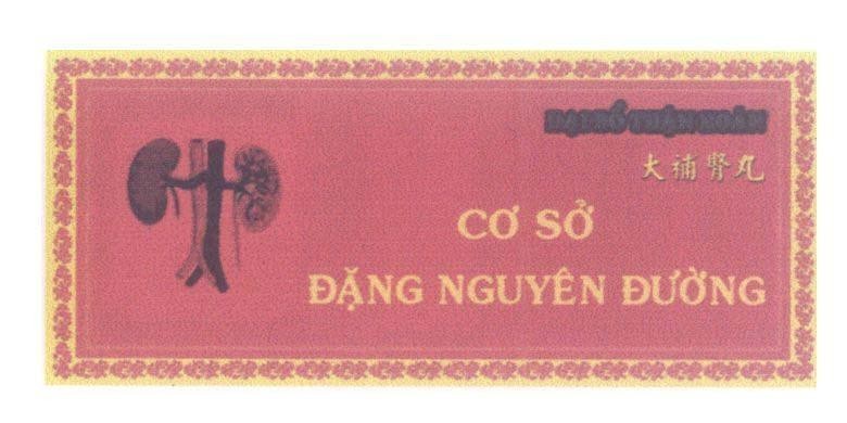 Mẫu nhãn hiệu Đại Bổ Thận Hoàn [Da Bu Shen Wan: Đại bổ thận hoàn] Cơ Sở Đặng Nguyên Đường
