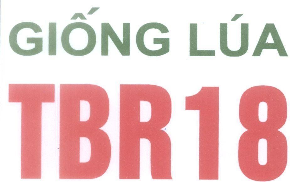 Mẫu nhãn hiệu Giống Lúa TBR18