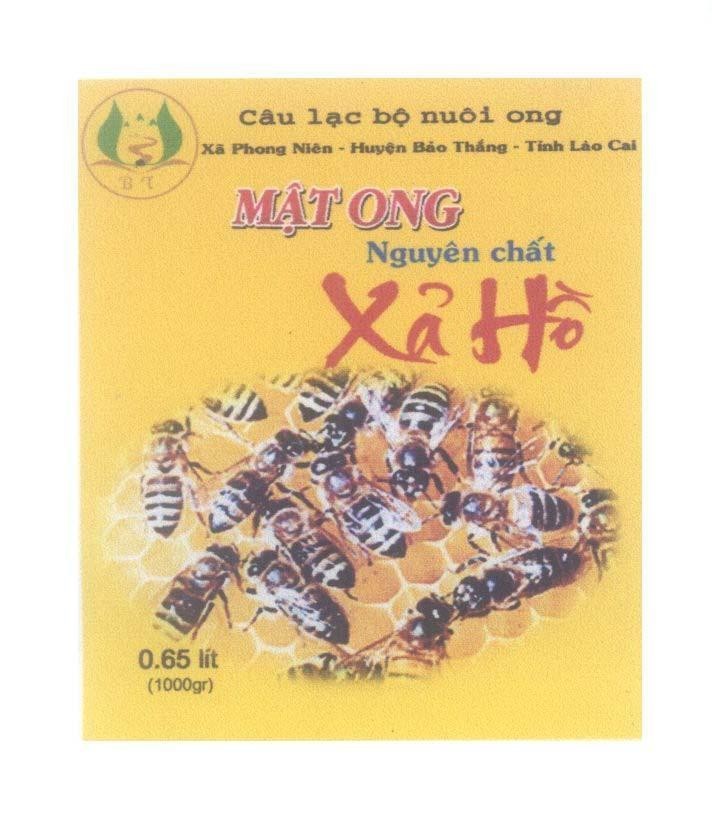Mẫu nhãn hiệu Mật Ong Nguyên Chất Xả Hồ BT Câu lạc bộ nuôi ong Xã Phong Nhiên - Huyện Bảo Thắng - Tỉnh Lào Cai