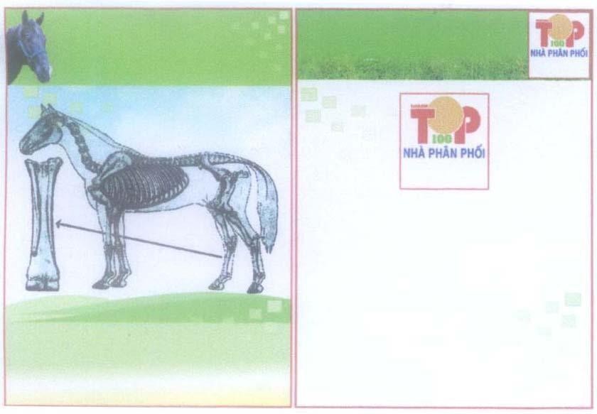 Mẫu nhãn hiệu TOP 100 Nhà Phân Phối