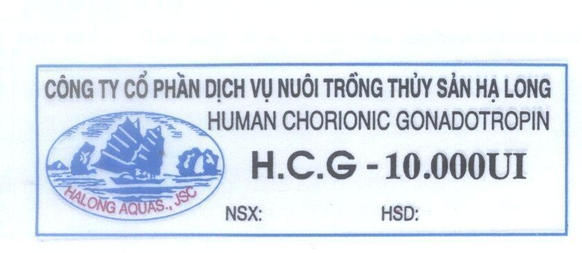 Mẫu nhãn hiệu Công Ty Cổ Phần Dịch Vụ Nuôi Trồng Thuỷ Sản Hạ Long HUMAN CHORIONIC GONADOTROPIN H.C.G-10000UI HALONG AQUAS.,JSC