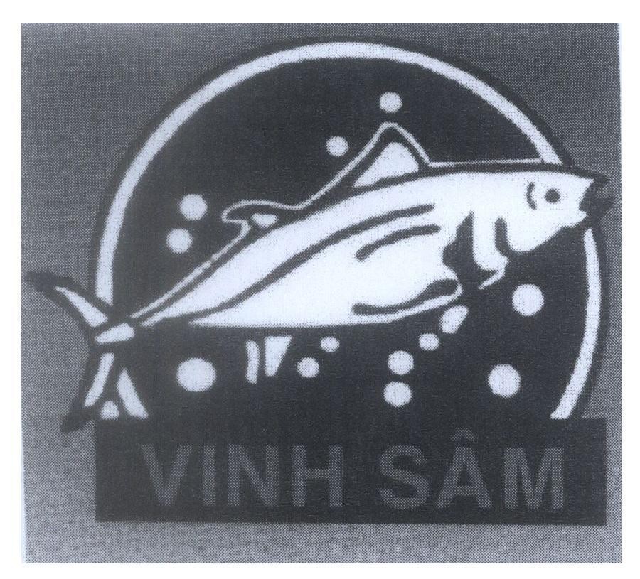 Mẫu nhãn hiệu VINH SÂM