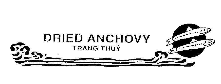 Mẫu nhãn hiệu DRIED ANCHOVY Trang Thuỷ