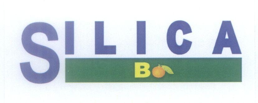 Mẫu nhãn hiệu SILICA B