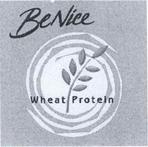 Mẫu nhãn hiệu BeNice Wheat Protein