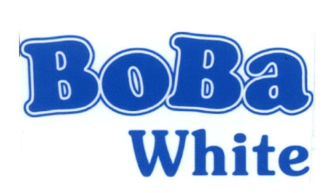 Mẫu nhãn hiệu BoBa White