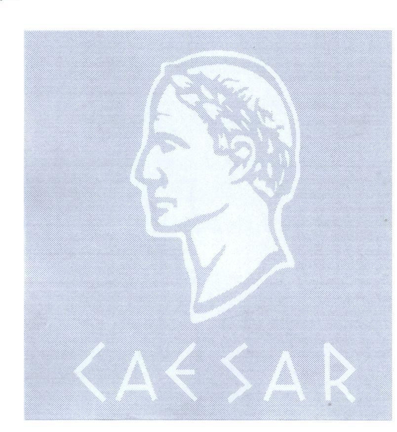 Mẫu nhãn hiệu CAESAR