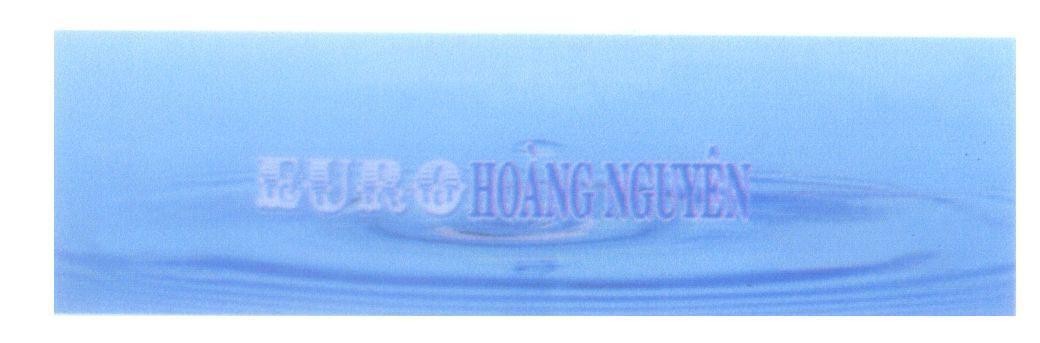 Mẫu nhãn hiệu EURO Hoàng Nguyên