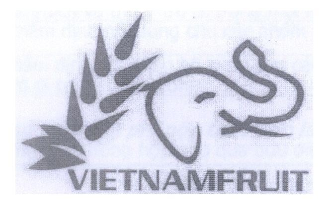 Mẫu nhãn hiệu VIETNAMFRUIT
