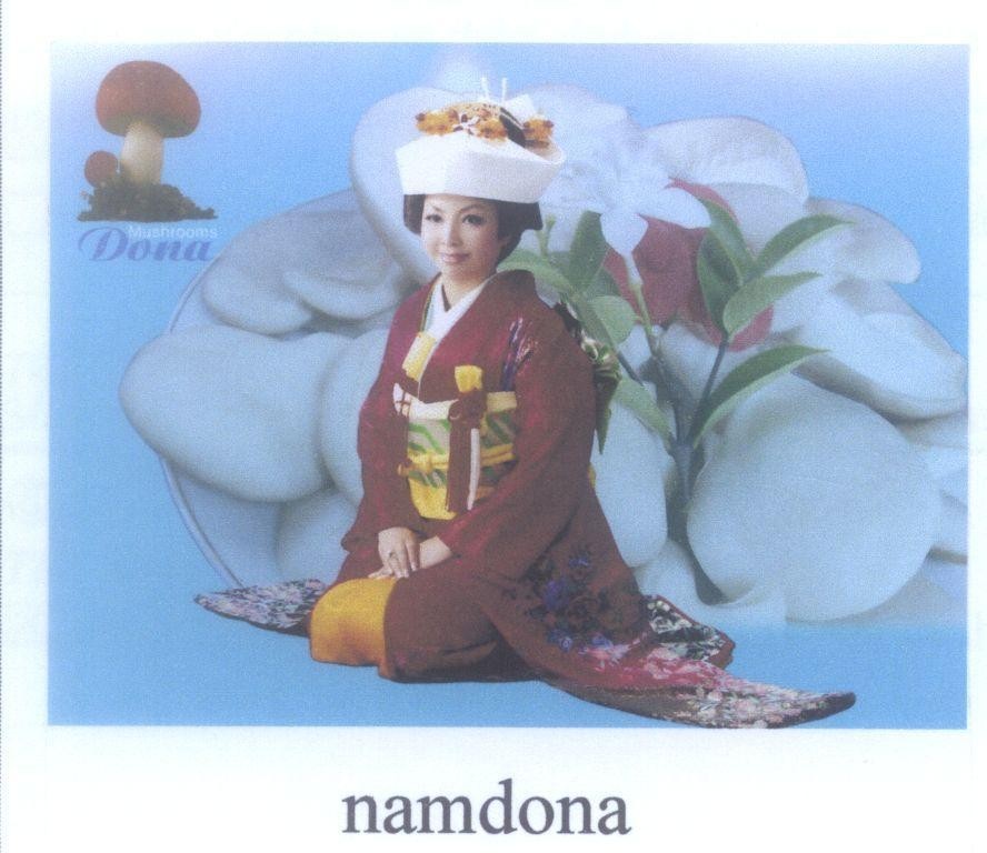 Mẫu nhãn hiệu namdona Mushrooms Dona