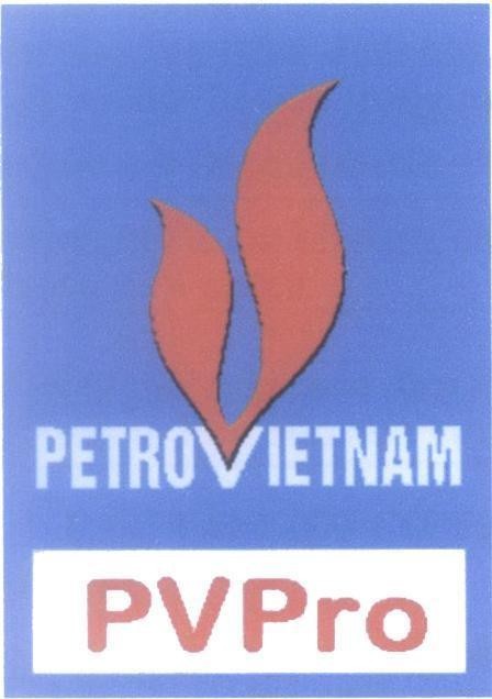 Mẫu nhãn hiệu PETROVIETNAM PVPro