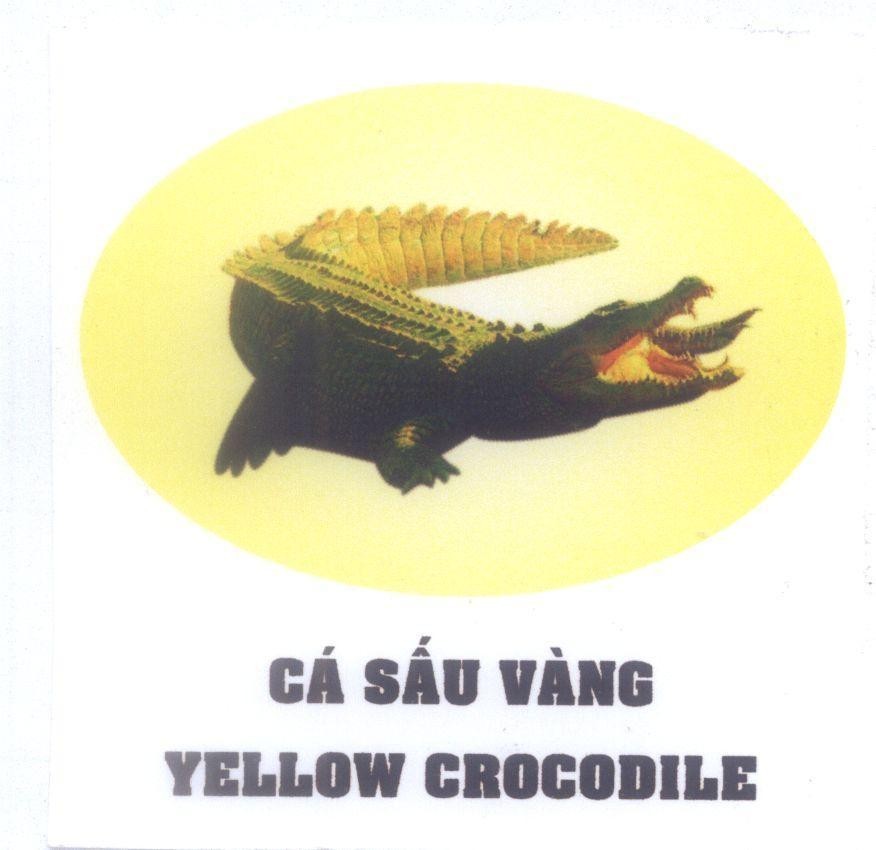 Mẫu nhãn hiệu Cá Sấu vàng YELLOW CROCODILE