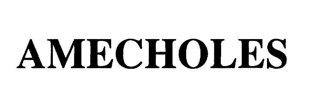 Mẫu nhãn hiệu AMECHOLES