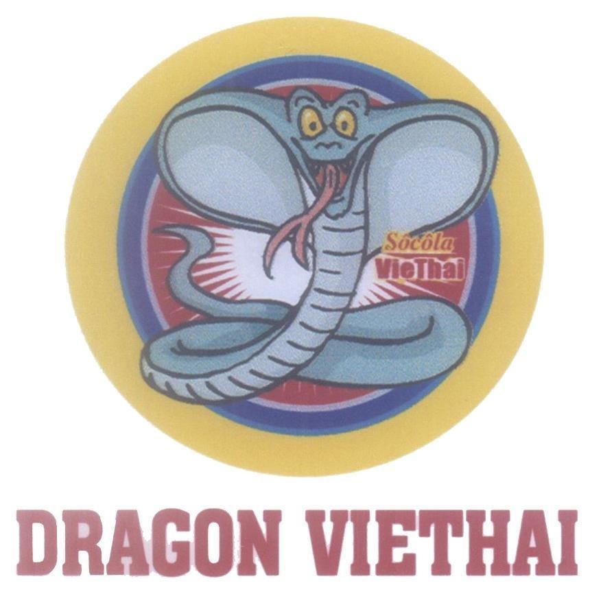 Mẫu nhãn hiệu DRAGON VIETHAI Sôcôla VieThai