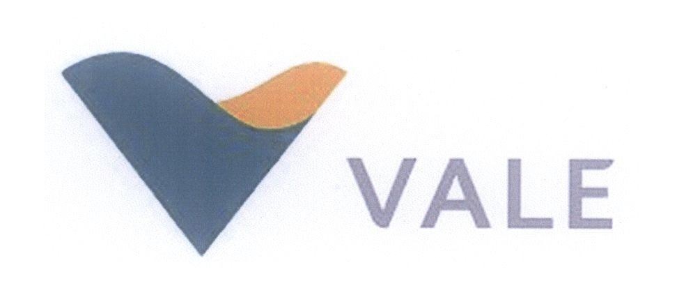 Mẫu nhãn hiệu V VALE