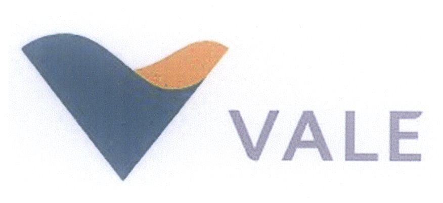Mẫu nhãn hiệu V VALE