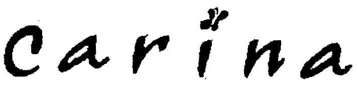 Mẫu nhãn hiệu Carina