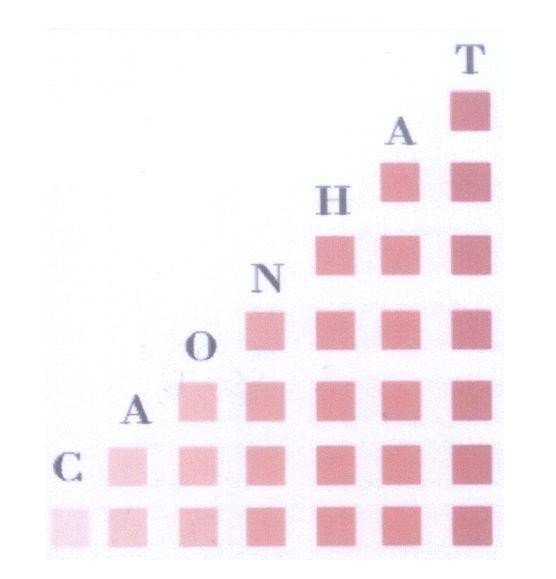 Mẫu nhãn hiệu CAO NHAT