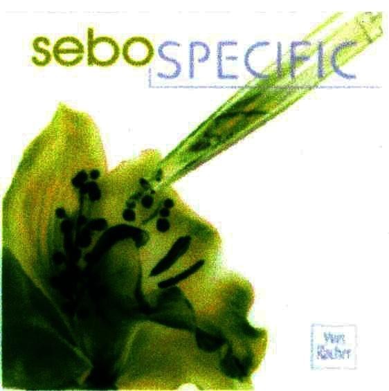 Mẫu nhãn hiệu sebo SPECIFIC Yves Rocher