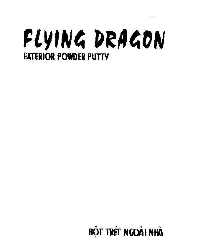 Mẫu nhãn hiệu FLYING DRAGON EXTERIOR POWDER PUTTY bột trét ngoài nhà
