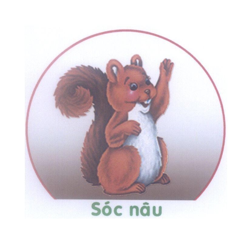 Mẫu nhãn hiệu Sóc nâu