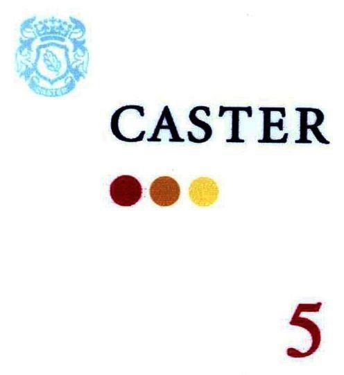 Mẫu nhãn hiệu CASTER 5