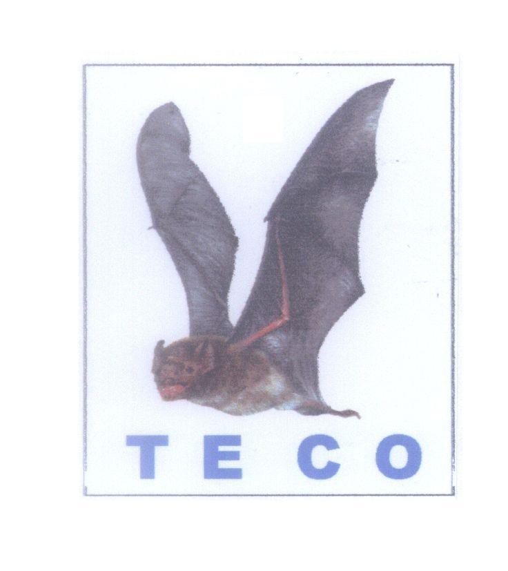 Mẫu nhãn hiệu TECO
