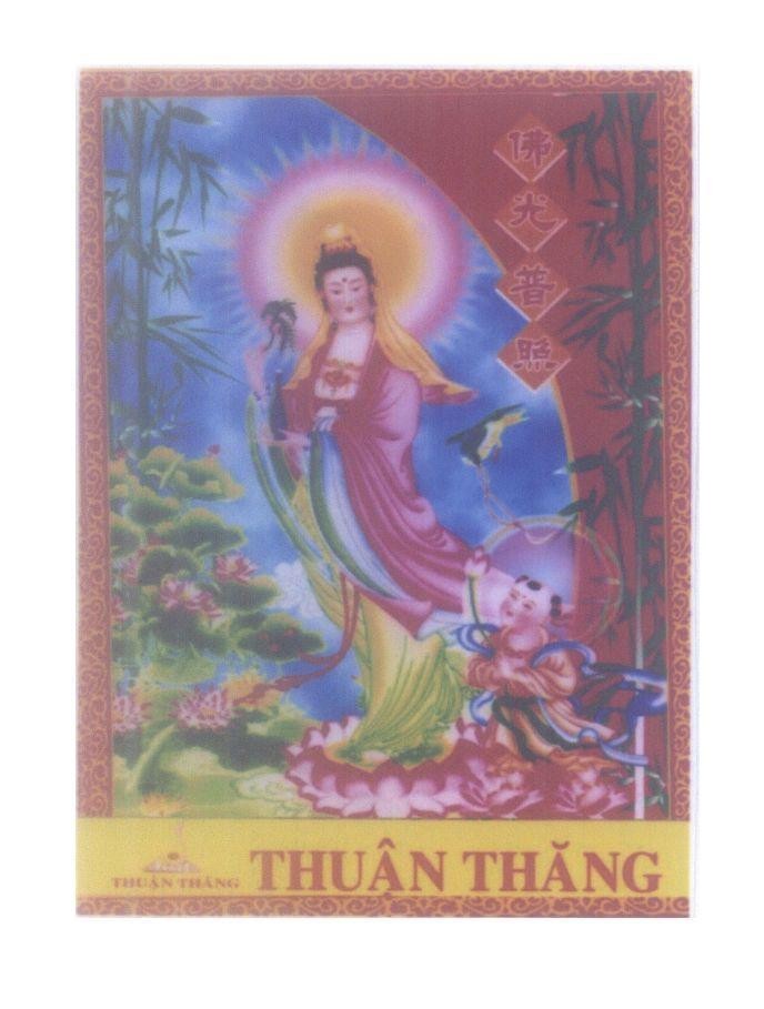 Mẫu nhãn hiệu Thuận Thăng [fo guang fu zhao: phật quan phổ chiếu]