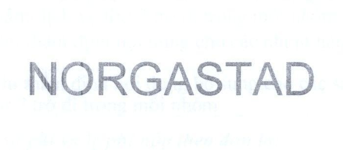 Mẫu nhãn hiệu NORGASTAD