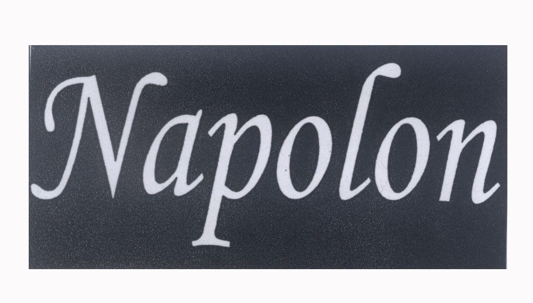 Mẫu nhãn hiệu Napolon