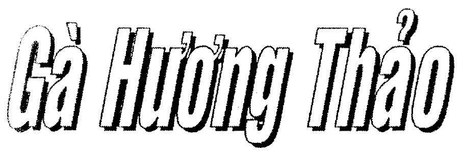 Mẫu nhãn hiệu Gà Hương Thảo