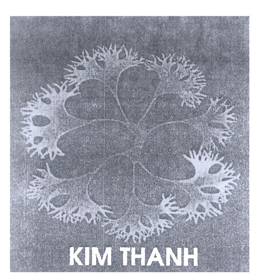 Mẫu nhãn hiệu KIM THANH