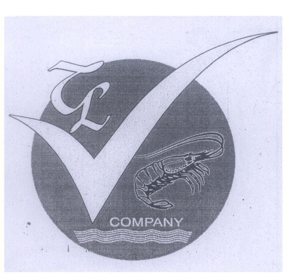 Mẫu nhãn hiệu V TL COMPANY