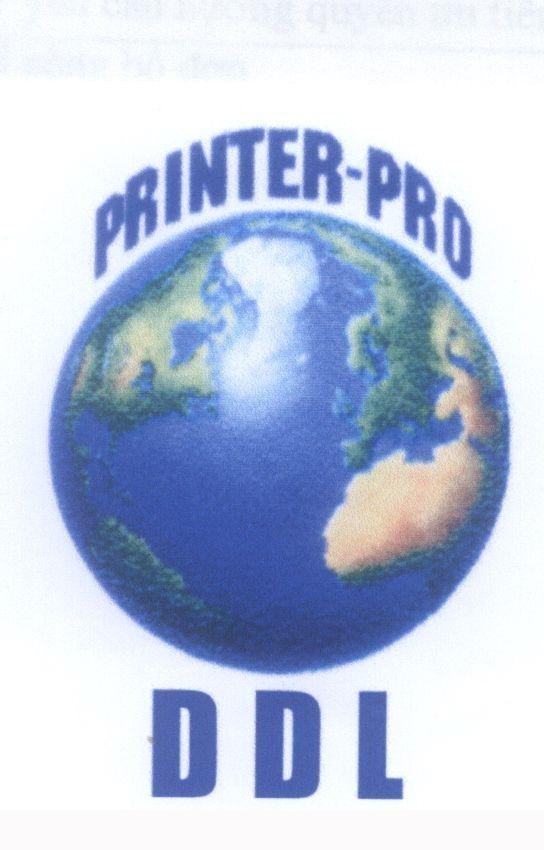 Mẫu nhãn hiệu PRINTER - PRO D D L
