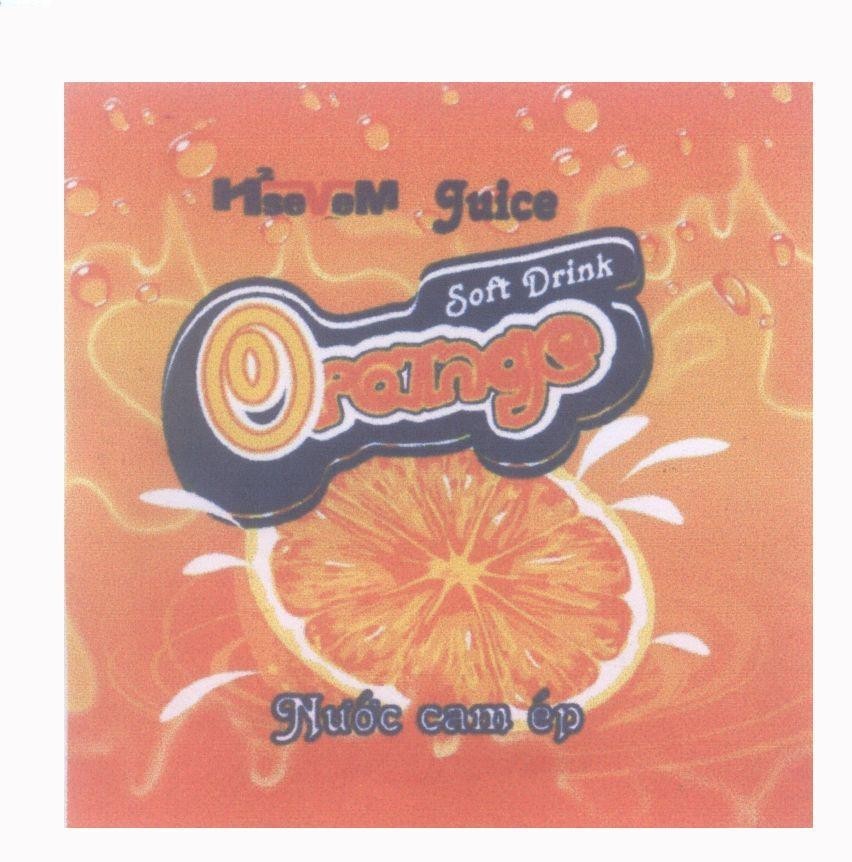 Mẫu nhãn hiệu Orange Soft Drink Nước Cam ép Juice HSEVEM2