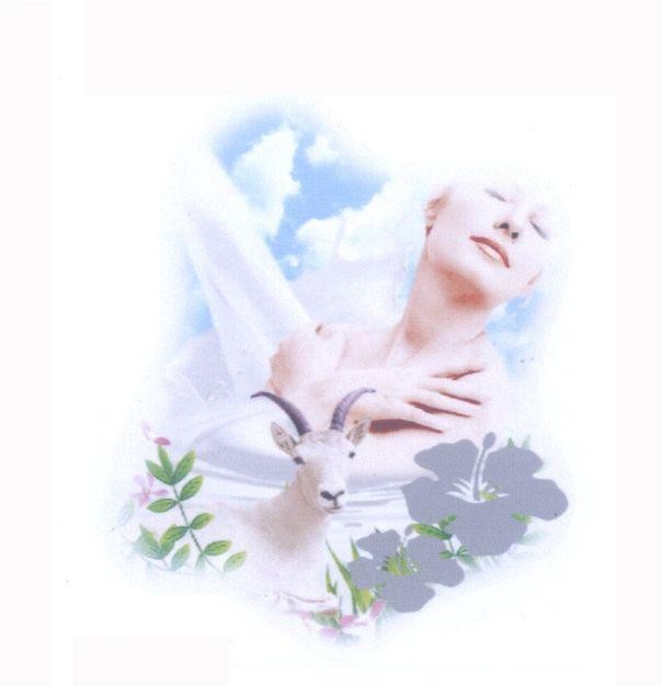 Mẫu nhãn hiệu Nhãn hiệu VN-4-2008-10128